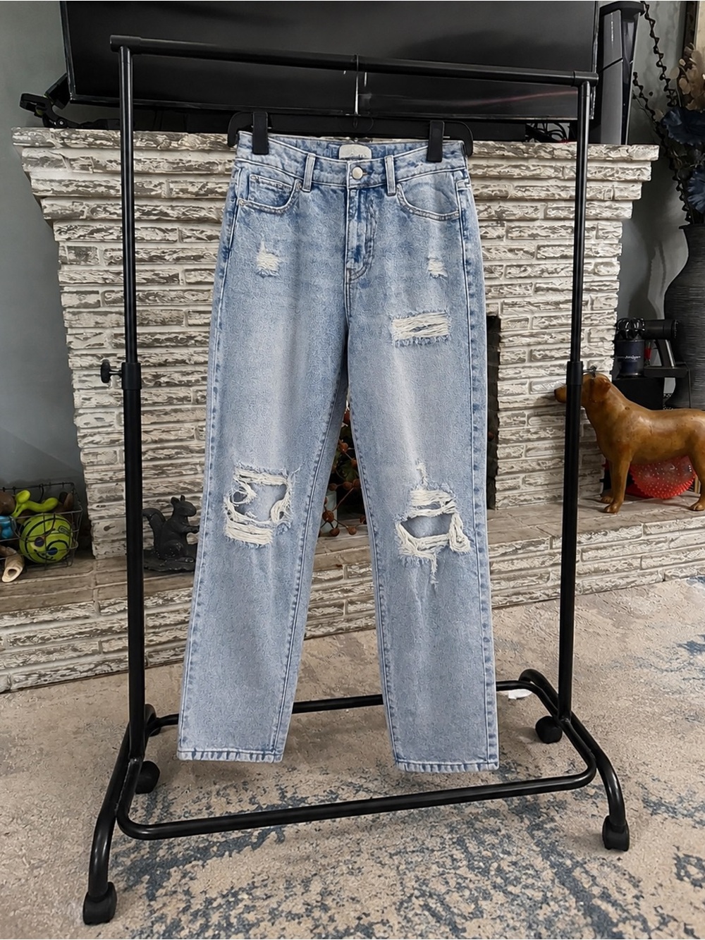 PacSun High Rise Distressed Size 2 Jeans Floral Embroidery